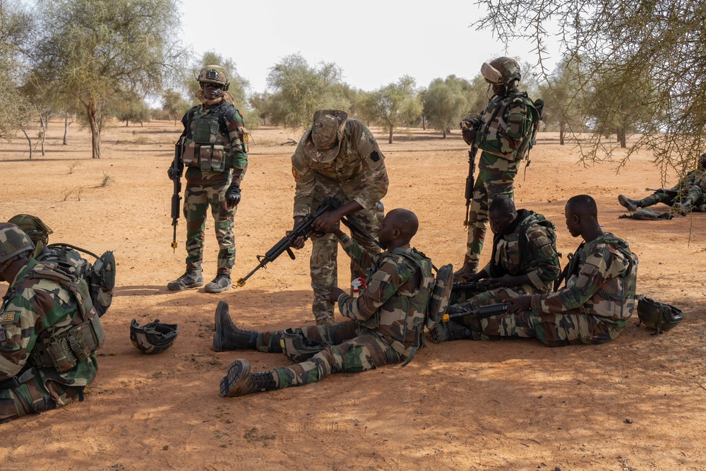 US, Netherlands conduct dry-fire exercise with Senegal