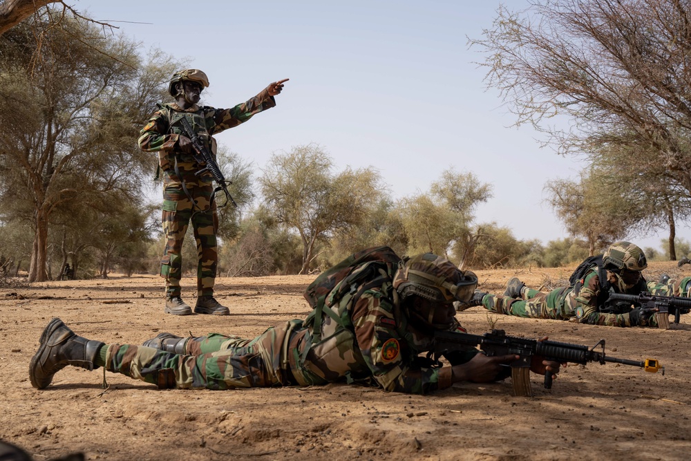 US, Netherlands conduct dry-fire exercise with Senegal