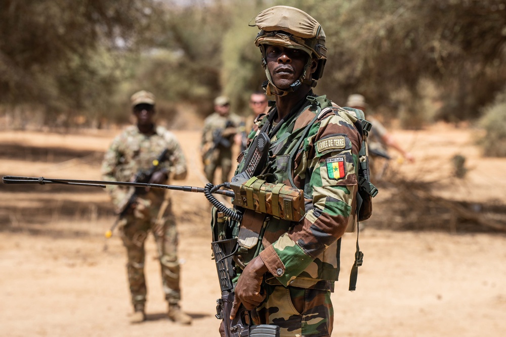 US, Netherlands conduct dry-fire exercise with Senegal