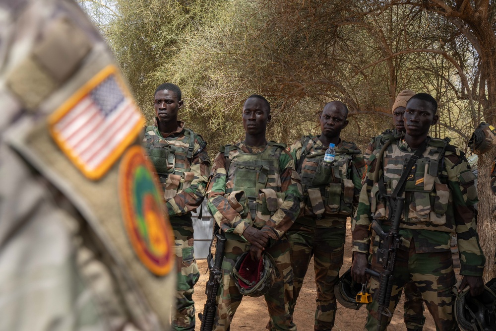 US, Netherlands conduct dry-fire exercise with Senegal