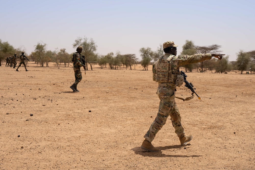 US, Netherlands conduct dry-fire exercise with Senegal