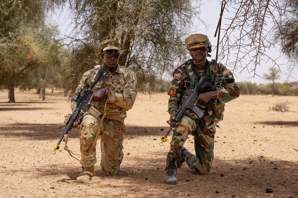 US, Netherlands conduct dry-fire exercise with Senegal