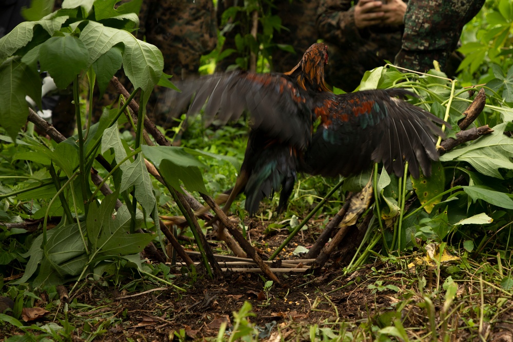 ACDC: 1/7, Armed Forces of the Philippines service members conduct jungle survival training