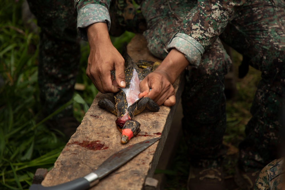 ACDC: 1/7, Armed Forces of the Philippines service members conduct jungle survival training