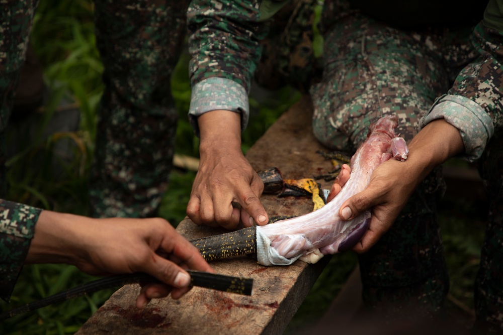 ACDC: 1/7, Armed Forces of the Philippines service members conduct jungle survival training