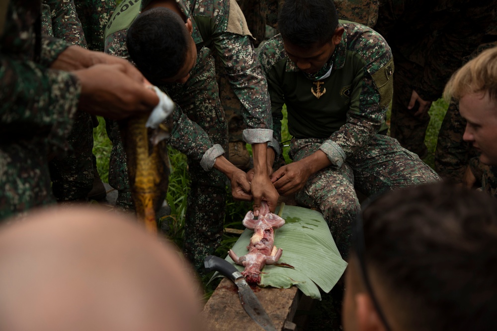 ACDC: 1/7, Armed Forces of the Philippines service members conduct jungle survival training