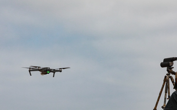 Paratroopers conduct joint range operations with Moroccan, Hungarian, and Ghanaian forces during African Lion 2024