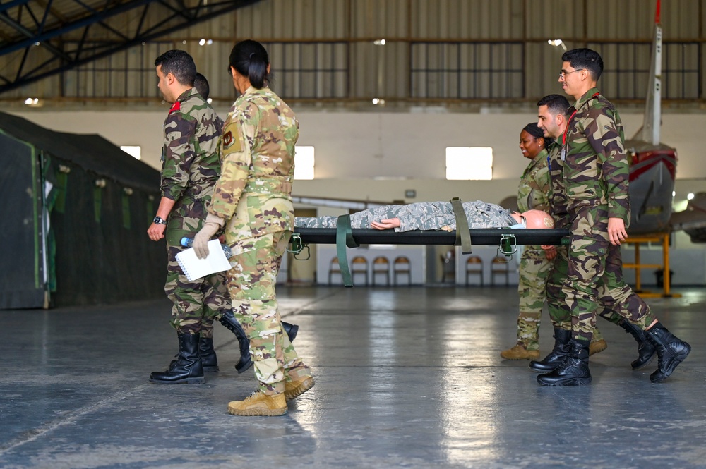 Combined AE litter training at African Lion 2024