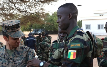 Armed Forces of Senegal demonstrate combat lifesaving skills during African Lion 2024