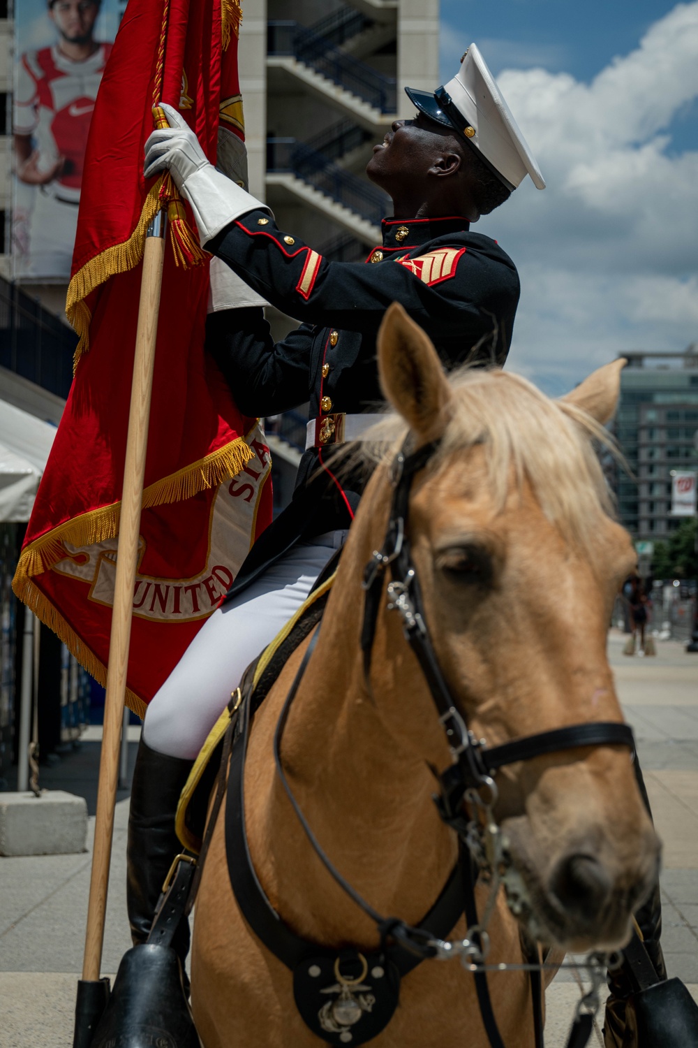 The Marine Corps Mounted Color Guard East Coast Tour