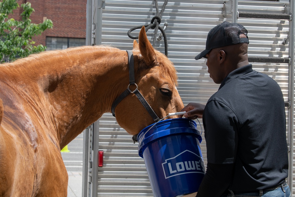 Marine Corps Mounted Color Guard East Coast Tour