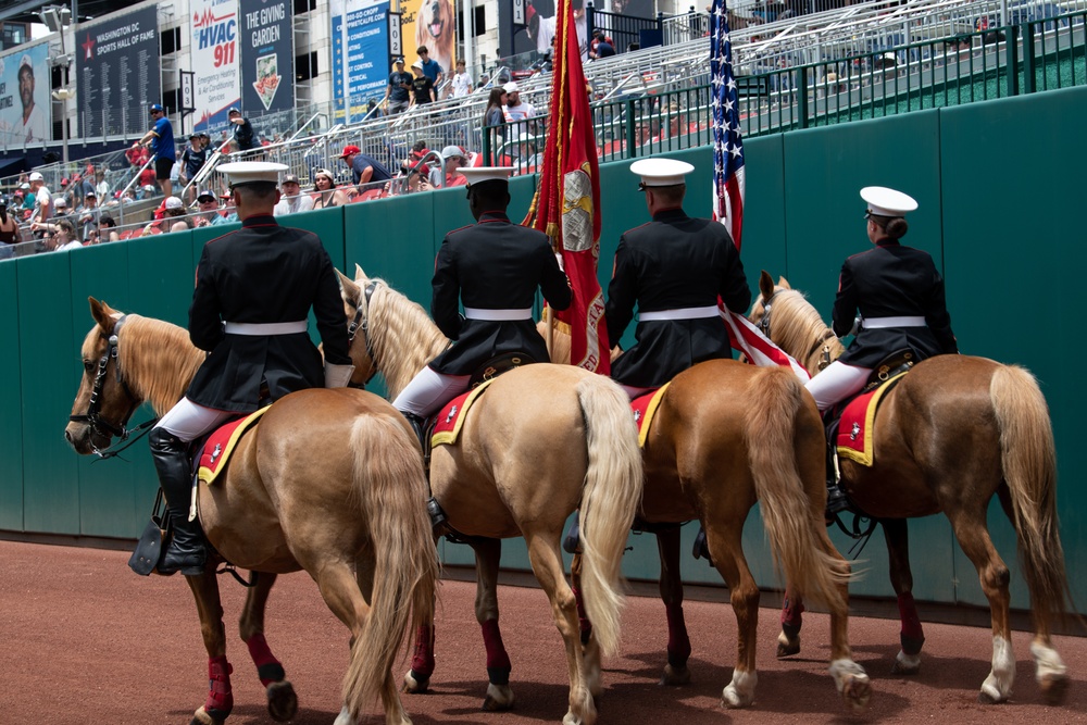 Marine Corps Mounted Color Guard East Coast Tour