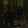 3rd LCT Scouts Train with PMC 63rd Force Recon