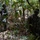 3rd LCT Scouts Train with PMC 63rd Force Recon