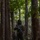 3rd LCT Scouts Train with PMC 63rd Force Recon