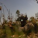 MRF-D 24.3: Echo Co., 2nd Bn., 5th Marines (Rein.) rehearses CASEVAC procedures during Exercise Predators Walk