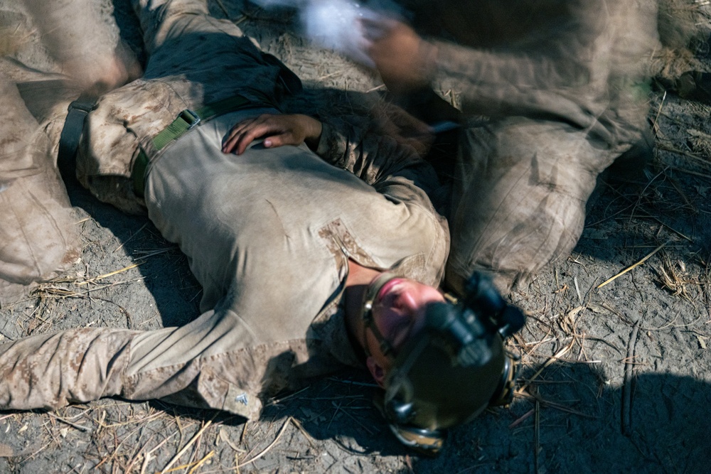 MRF-D 24.3: Echo Co., 2nd Bn., 5th Marines (Rein.) participates in Exercise Predators Walk