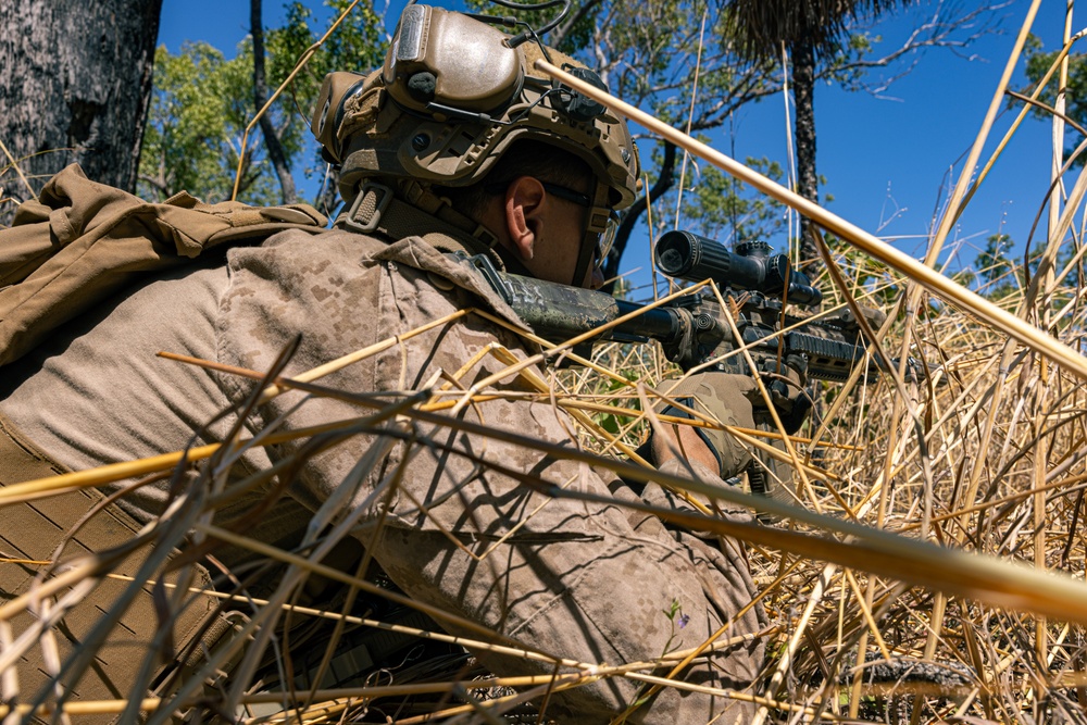 MRF-D 24.3: Echo Co., 2nd Bn., 5th Marines (Rein.) participates in Exercise Predators Walk