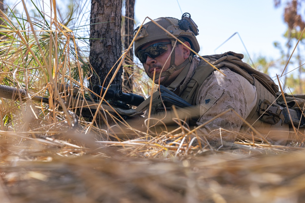 MRF-D 24.3: Echo Co., 2nd Bn., 5th Marines (Rein.) participates in Exercise Predators Walk