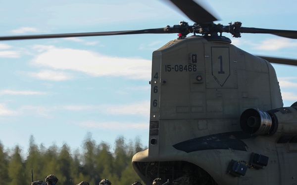 Fighting Eagle Air Assault Support