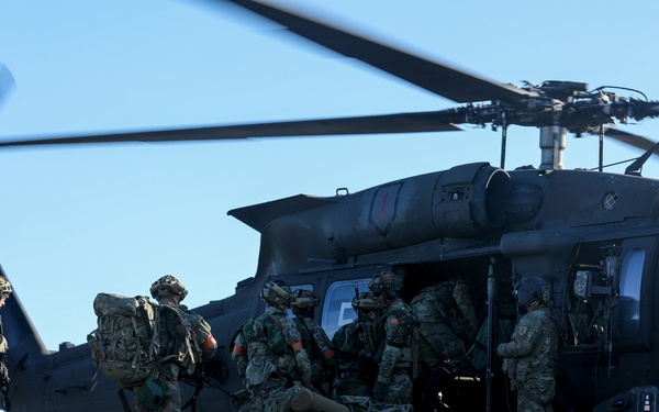 Fighting Eagle Air Assault Support