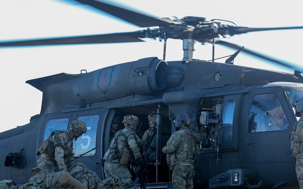 Fighting Eagle Air Assault Support