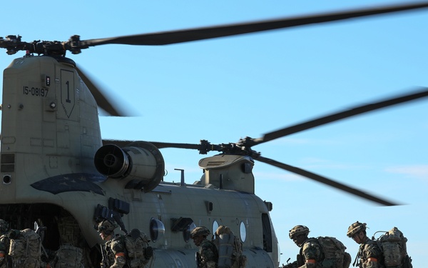 Fighting Eagle Air Assault Support