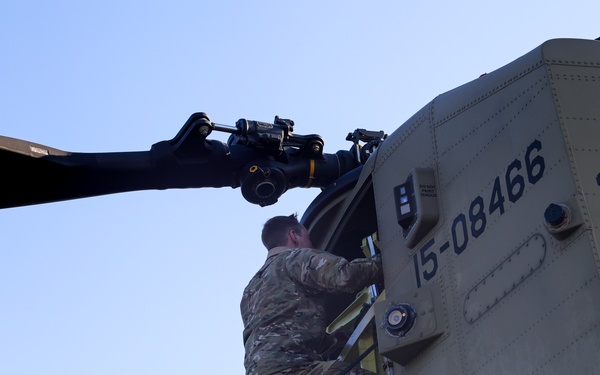 Fighting Eagle Sling Load Support