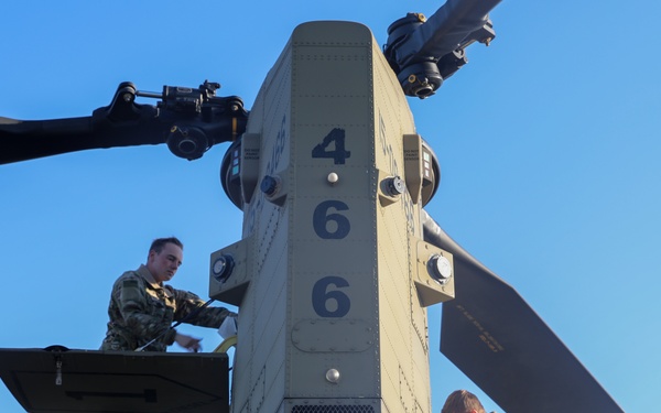 Fighting Eagle Sling Load Support