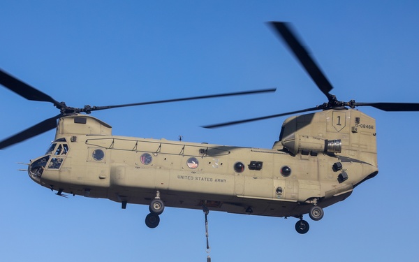 Fighting Eagle Sling Load Support