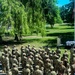 1st Cavalry Division Sustainment Brigade Memorial Day Ceremony