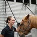 Marine Corps Mounted Color Guard East Coast Tour