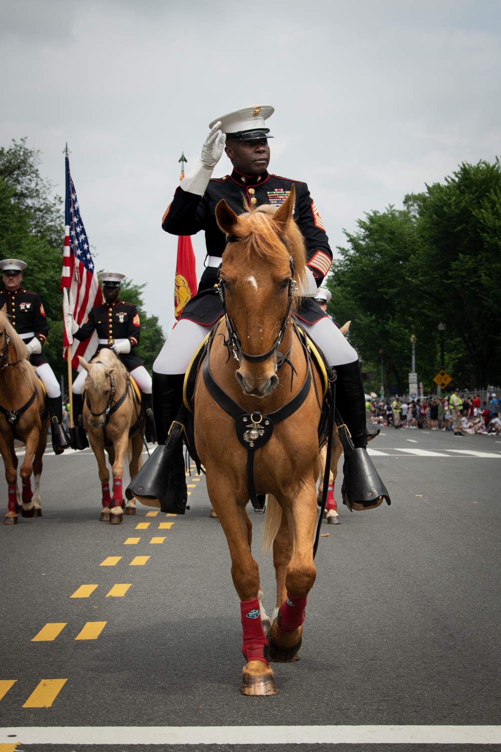 Marine Corps Mounted Color Guard East Coast Tour