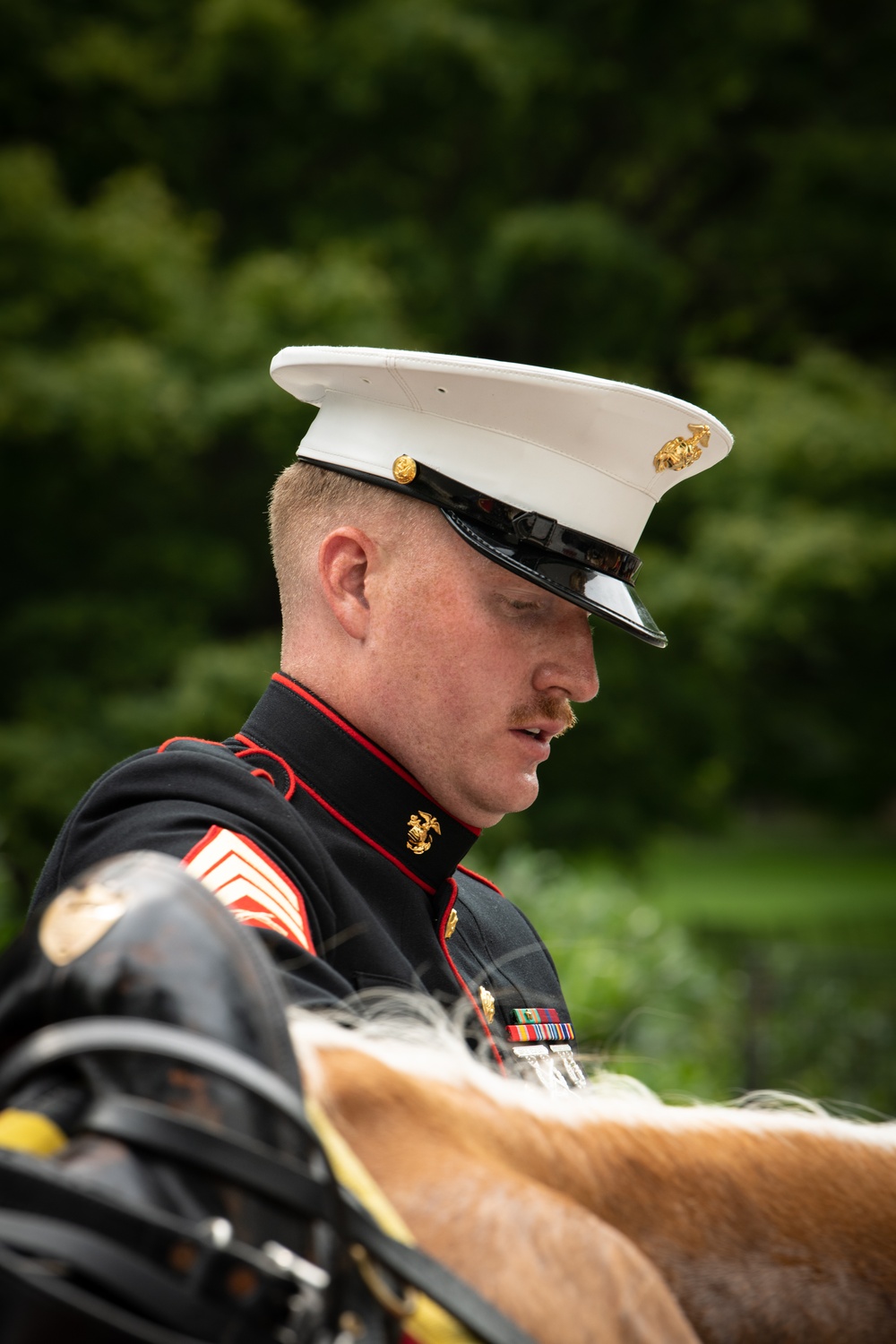 Marine Corps Mounted Color Guard East Coast Tour