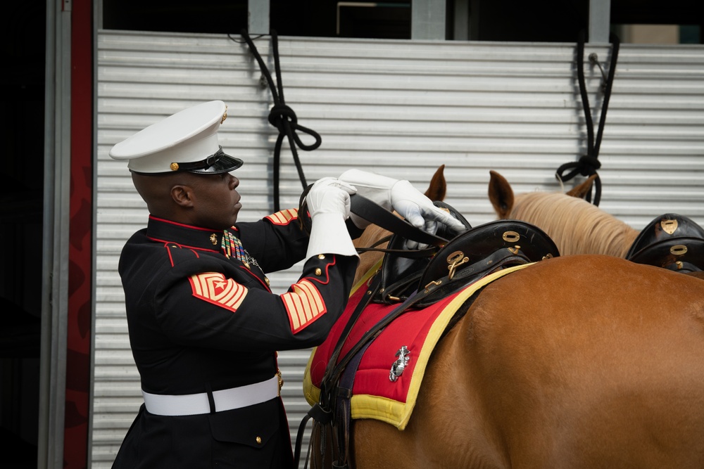 Marine Corps Mounted Color Guard East Coast Tour