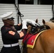 Marine Corps Mounted Color Guard East Coast Tour