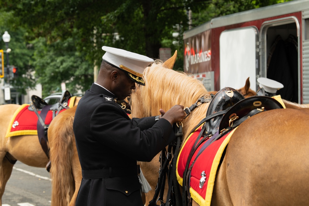 Marine Corps Mounted Color Guard East Coast Tour