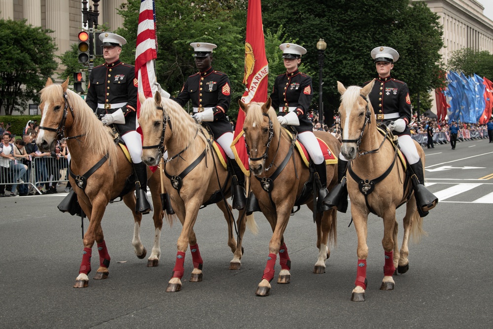 Marine Corps Mounted Color Guard East Coast Tour