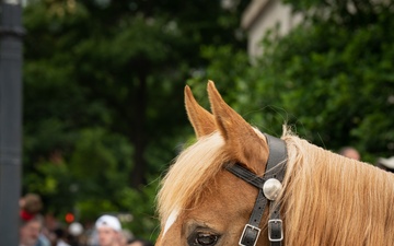 Marine Corps Mounted Color Guard East Coast Tour