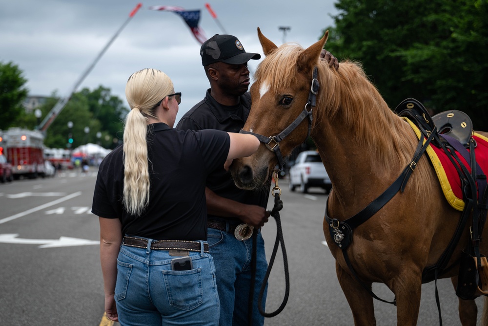 The Marine Corps Mounted Color Guard East Coast Tour