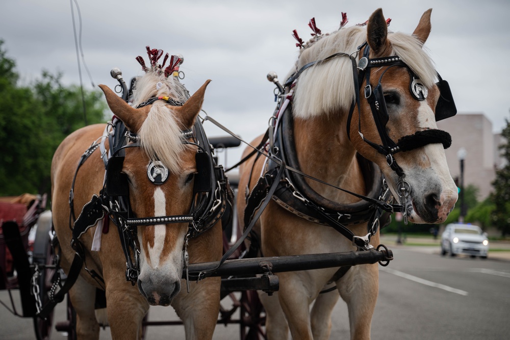 The Marine Corps Mounted Color Guard East Coast Tour