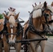 The Marine Corps Mounted Color Guard East Coast Tour