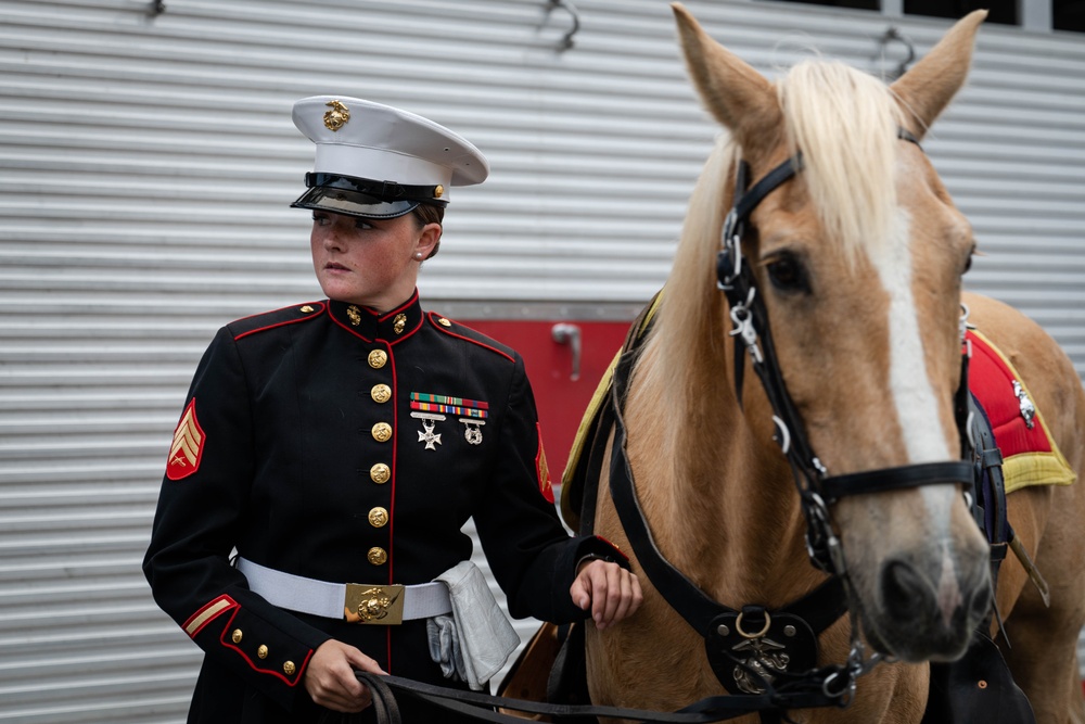 The Marine Corps Mounted Color Guard East Coast Tour