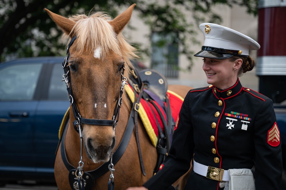 The Marine Corps Mounted Color Guard East Coast Tour