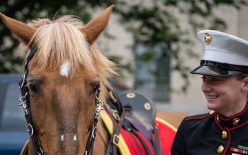 The Marine Corps Mounted Color Guard East Coast Tour