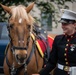 The Marine Corps Mounted Color Guard East Coast Tour