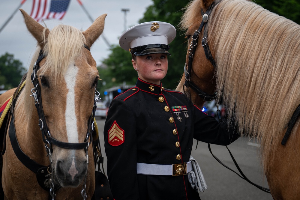 The Marine Corps Mounted Color Guard East Coast Tour