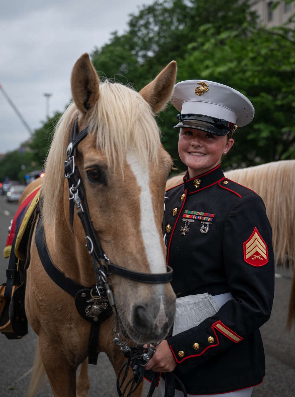 The Marine Corps Mounted Color Guard East Coast Tour