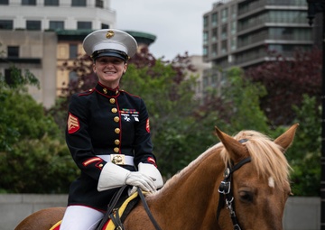 The Marine Corps Mounted Color Guard East Coast Tour