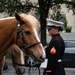 Marine Corps Mounted Color Guard East Coast Tour